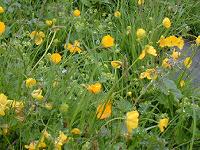 �L���|�E�Q