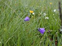 �q���C�g�V���W��