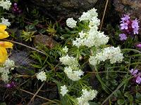 �K���E���E���K���X�y����