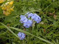 �G�]�����T�L