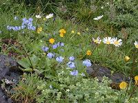 �G�]�����T�L