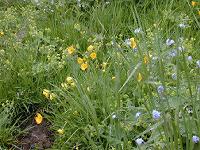 �L���|�E�Q/�G�]�����T�L