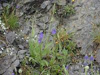 �t�B�e�E�}�E�x�g�j�L�t�H���E��