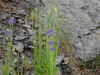 �t�B�e�E�}�E�x�g�j�L�t�H���E��