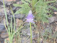 �t�B�e�E�}�E�x�g�j�L�t�H���E��