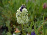 �t�B�e�E�}�E�x�g�j�L�t�H���E��