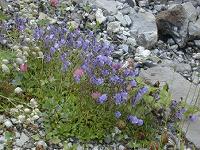 �`���{�M�L���E