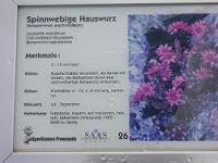 �N���m�X�o���_�C�\�E