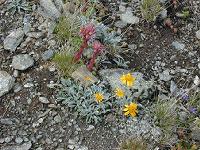 �Z���y���r�j�E���E�����^�k���A�A���j�J�E�����^�i