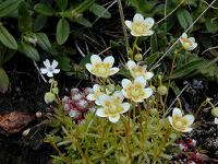 �T�N�V�t���K�E�A�X�y��