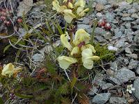 �G�]�V�I�K�}�̒���