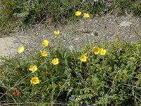 ���k���N���X�E�A�N���X