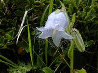 �~���}�c���K�l�\�E