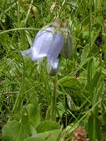 �~���}�c���K�l�\�E